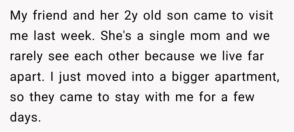 My friend and her 2y old son came to visit me last week. She's a single mom and we rarely see each other because we live far apart. I just...