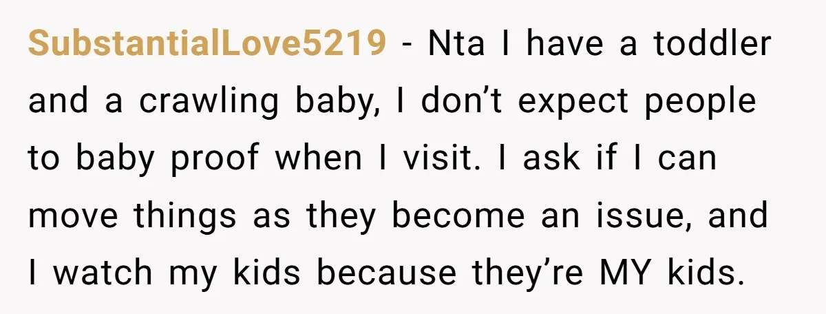 SubstantialLove5219 − Nta I have a toddler and a crawling baby, I don’t expect people to baby proof when I visit. I ask if I can move things as they...