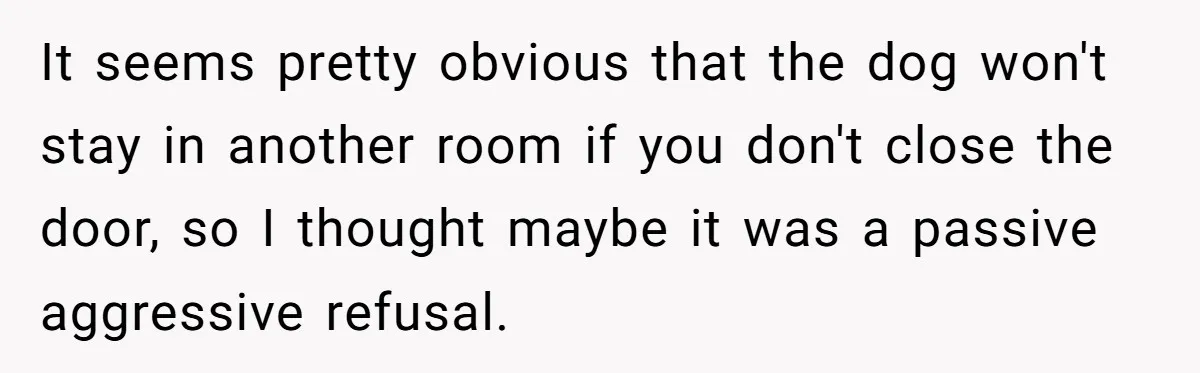 It seems pretty obvious that the dog won't stay in another room if you don't close the door, so I thought maybe it was a passive aggressive refusal.