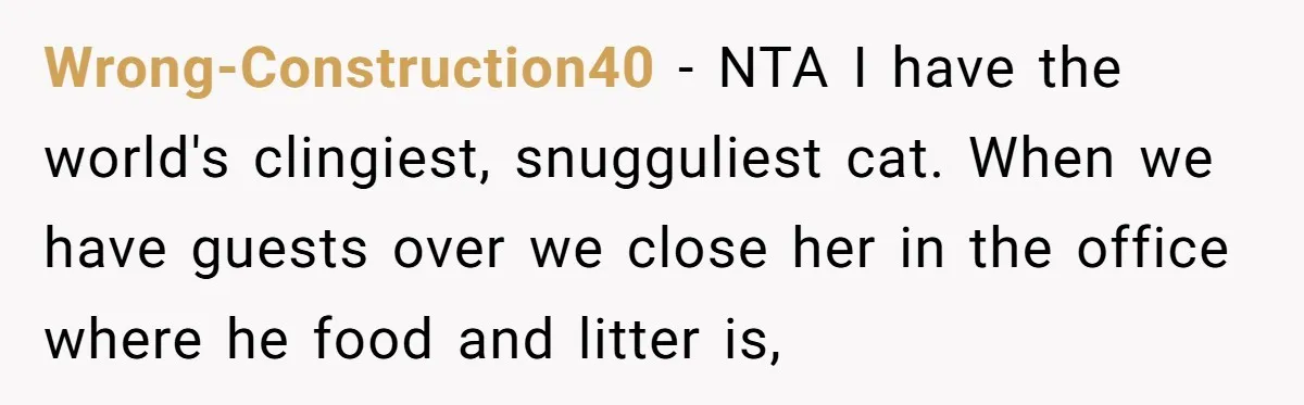 Wrong-Construction40 − NTA I have the world's clingiest, snugguliest cat. When we have guests over we close her in the office where he food and litter is,