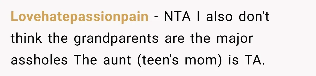 Lovehatepassionpain − NTA I also don't think the grandparents are the major assholes The aunt (teen's mom) is TA.