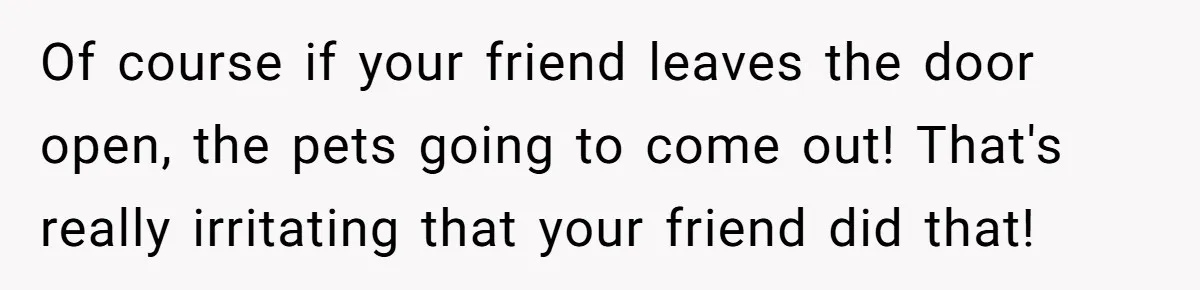 Of course if your friend leaves the door open, the pets going to come out! That's really irritating that your friend did that!
