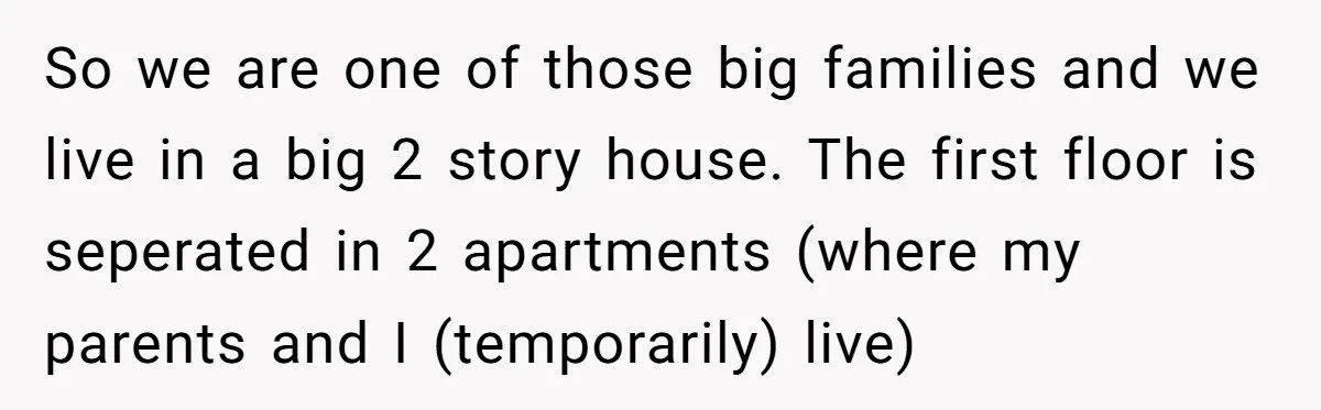 So we are one of those big families and we live in a big 2 story house. The first floor is seperated in 2 apartments (where my parents and I...