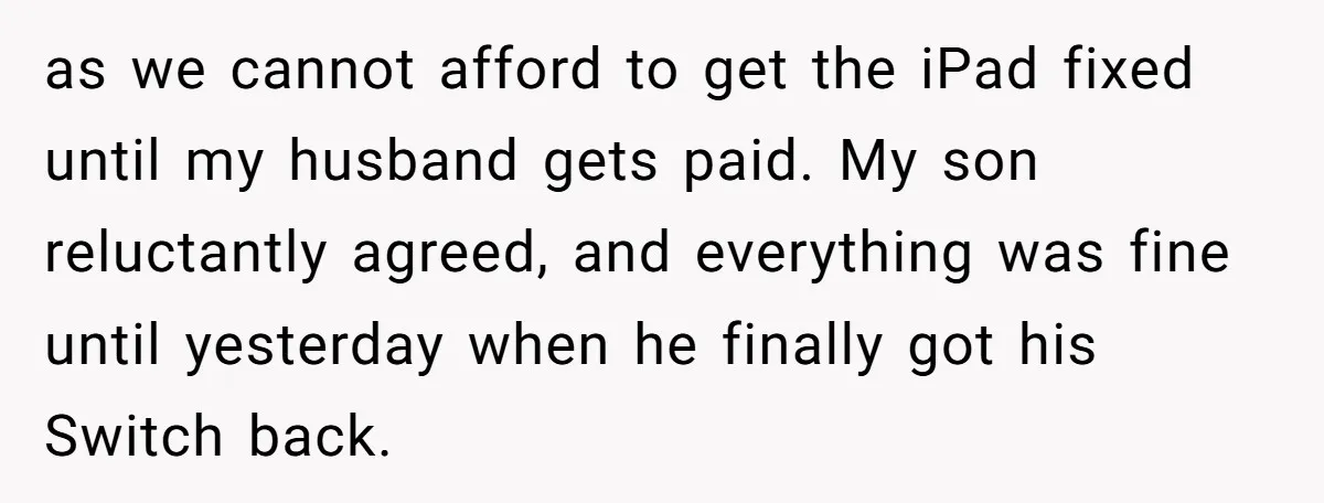 as we cannot afford to get the iPad fixed until my husband gets paid. My son reluctantly agreed, and everything was fine until yesterday when he finally got his Switch...