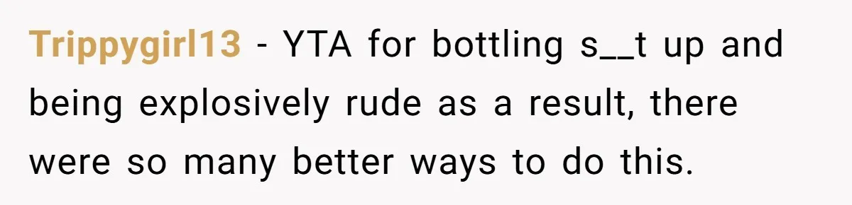 Trippygirl13 − YTA for bottling s__t up and being explosively rude as a result, there were so many better ways to do this.