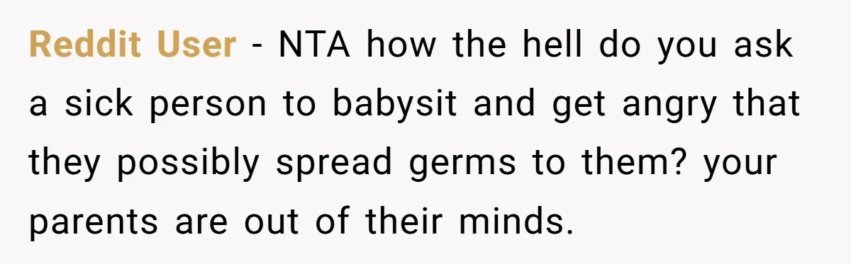 Reddit User - NTA how the hell do you ask a sick person to babysit and get angry that they possibly spread germs to them? your parents are out of...
