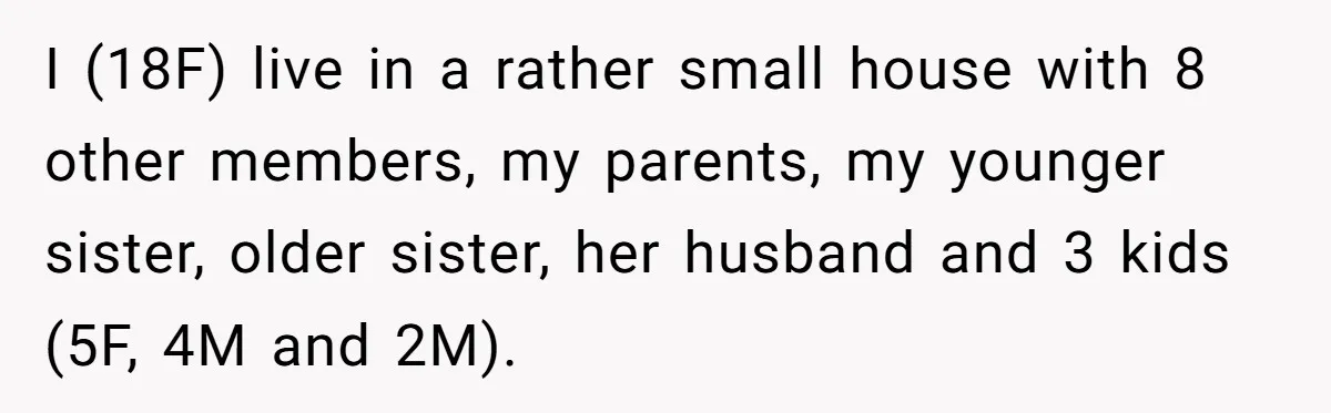 I (18F) live in a rather small house with 8 other members, my parents, my younger sister, older sister, her husband and 3 kids (5F, 4M and 2M).