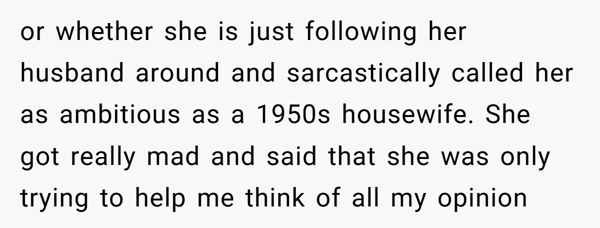 or whether she is just following her husband around and sarcastically called her as ambitious as a 1950s housewife. She got really mad and said that she was only trying...