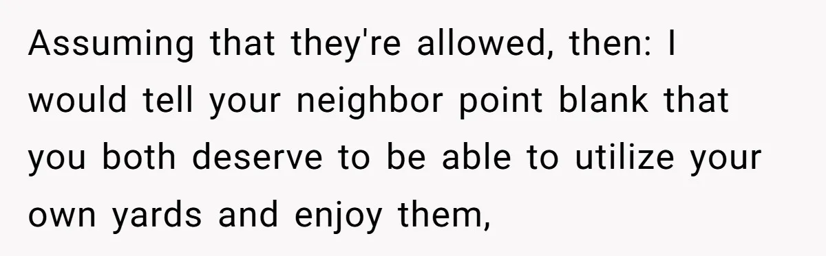 Assuming that they're allowed, then: I would tell your neighbor point blank that you both deserve to be able to utilize your own yards and enjoy them,