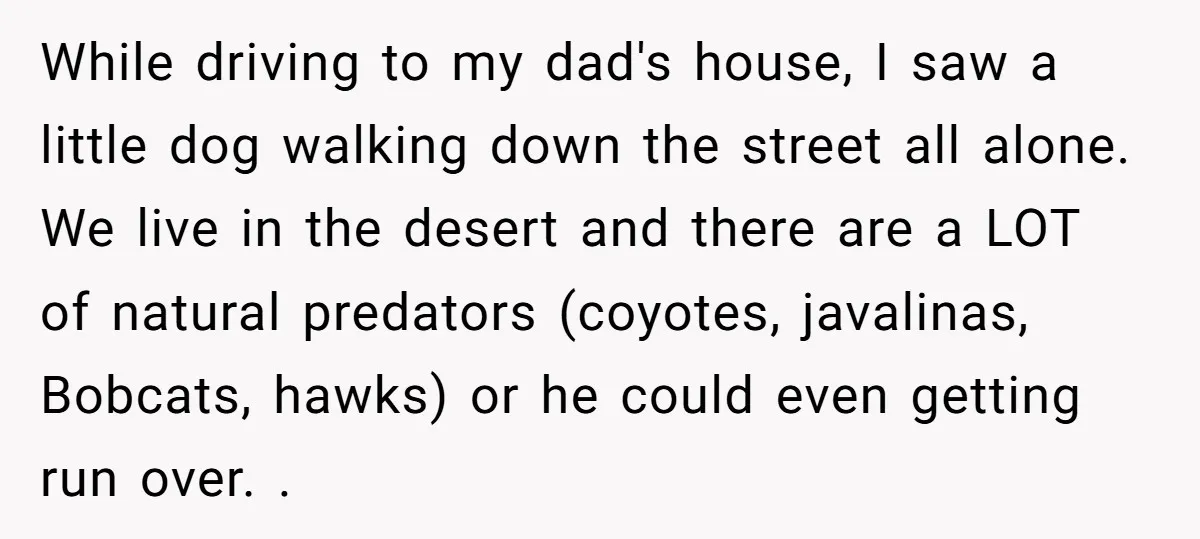While driving to my dad's house, I saw a little dog walking down the street all alone. We live in the desert and there are a LOT of natural predators...