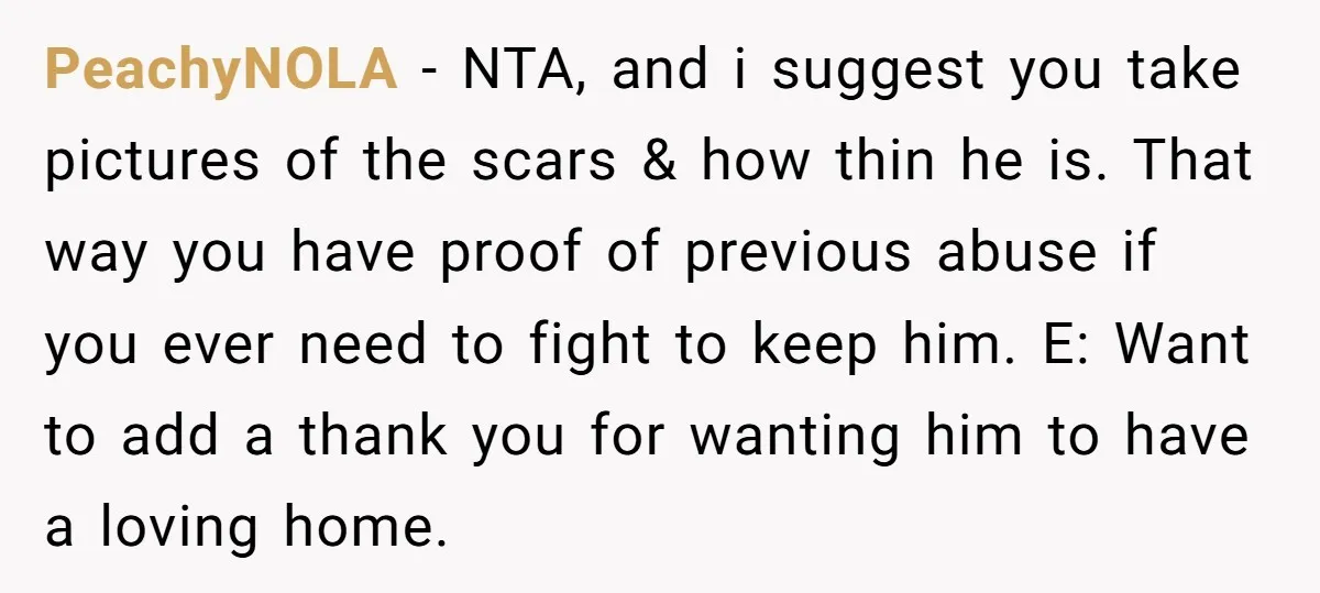 PeachyNOLA − NTA, and i suggest you take pictures of the scars & how thin he is. That way you have proof of previous abuse if you ever need to...
