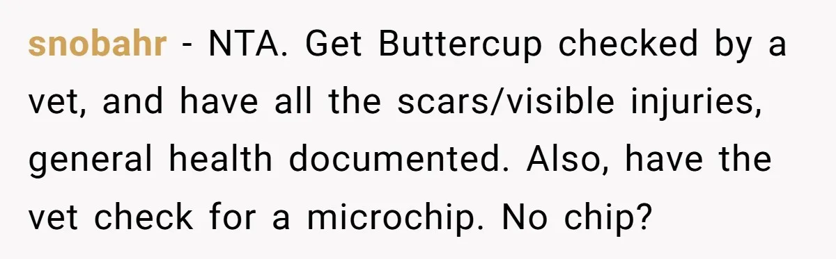 snobahr − NTA. Get Buttercup checked by a vet, and have all the scars/visible injuries, general health documented. Also, have the vet check for a microchip. No chip?