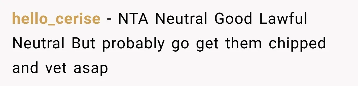 hello_cerise − NTA Neutral Good Lawful Neutral But probably go get them chipped and vet asap