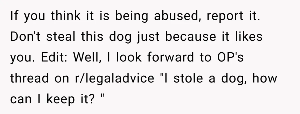 If you think it is being abused, report it. Don't steal this dog just because it likes you. Edit: Well, I look forward to OP's thread on r/legaladvice "I stole...