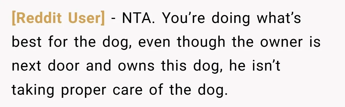 [Reddit User] − NTA. You’re doing what’s best for the dog, even though the owner is next door and owns this dog, he isn’t taking proper care of the dog.