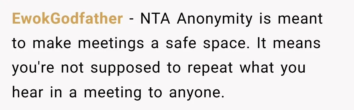 EwokGodfather − NTA Anonymity is meant to make meetings a safe space. It means you're not supposed to repeat what you hear in a meeting to anyone.