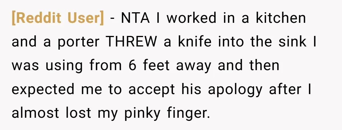 [Reddit User] − NTA I worked in a kitchen and a porter THREW a knife into the sink I was using from 6 feet away and then expected me to...
