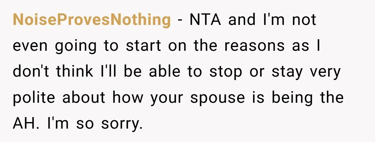 NoiseProvesNothing − NTA and I'm not even going to start on the reasons as I don't think I'll be able to stop or stay very polite about how your spouse...