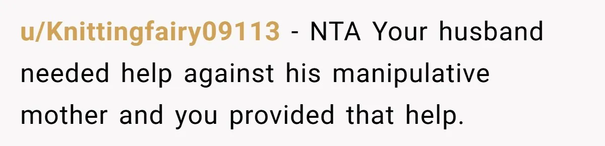 u/Knittingfairy09113 - NTA Your husband needed help against his manipulative mother and you provided that help.