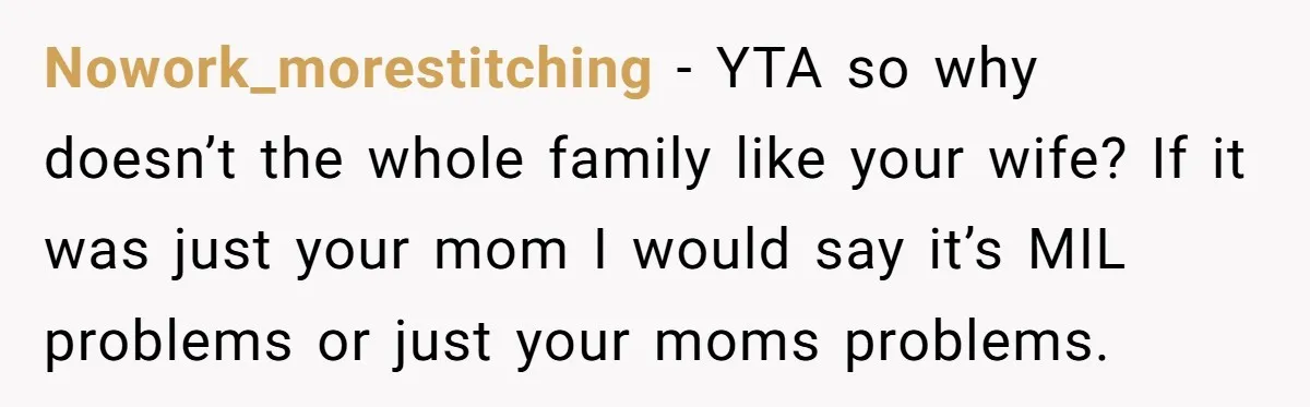 Nowork_morestitching − YTA so why doesn’t the whole family like your wife? If it was just your mom I would say it’s MIL problems or just your moms problems.