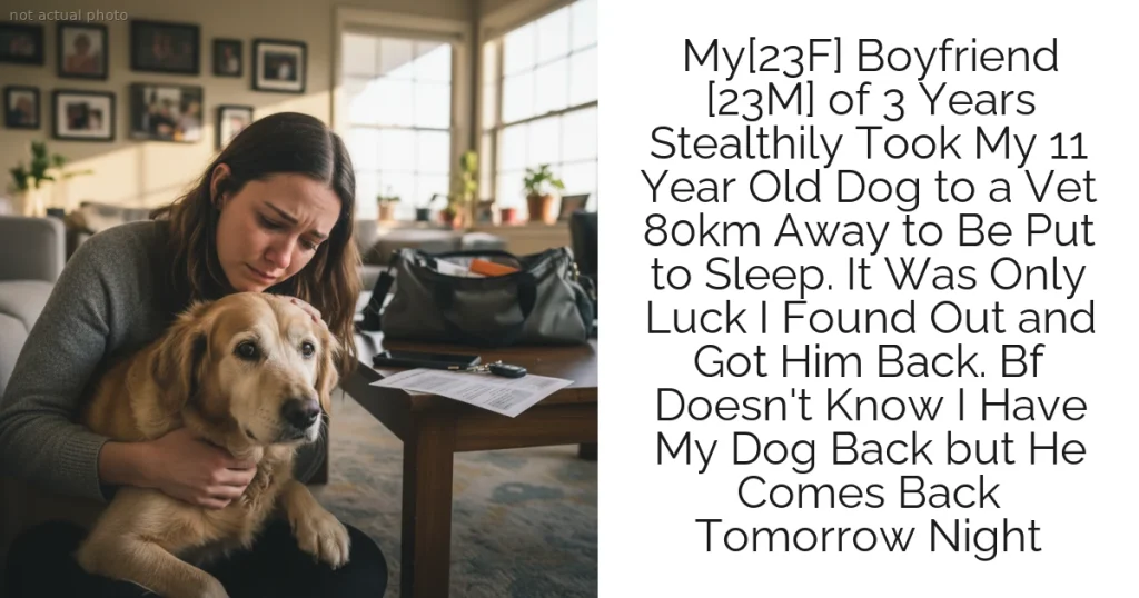 My[23F] Boyfriend [23M] of 3 Years Stealthily Took My 11 Year Old Dog to a Vet 80km Away to Be Put to Sleep. It Was Only Luck I Found Out and Got Him Back. Bf Doesn't Know I Have My Dog Back but He Comes Back Tomorrow Night