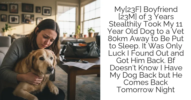 My[23F] Boyfriend [23M] of 3 Years Stealthily Took My 11 Year Old Dog to a Vet 80km Away to Be Put to Sleep. It Was Only Luck I Found Out and Got Him Back. Bf Doesn't Know I Have My Dog Back but He Comes Back Tomorrow Night