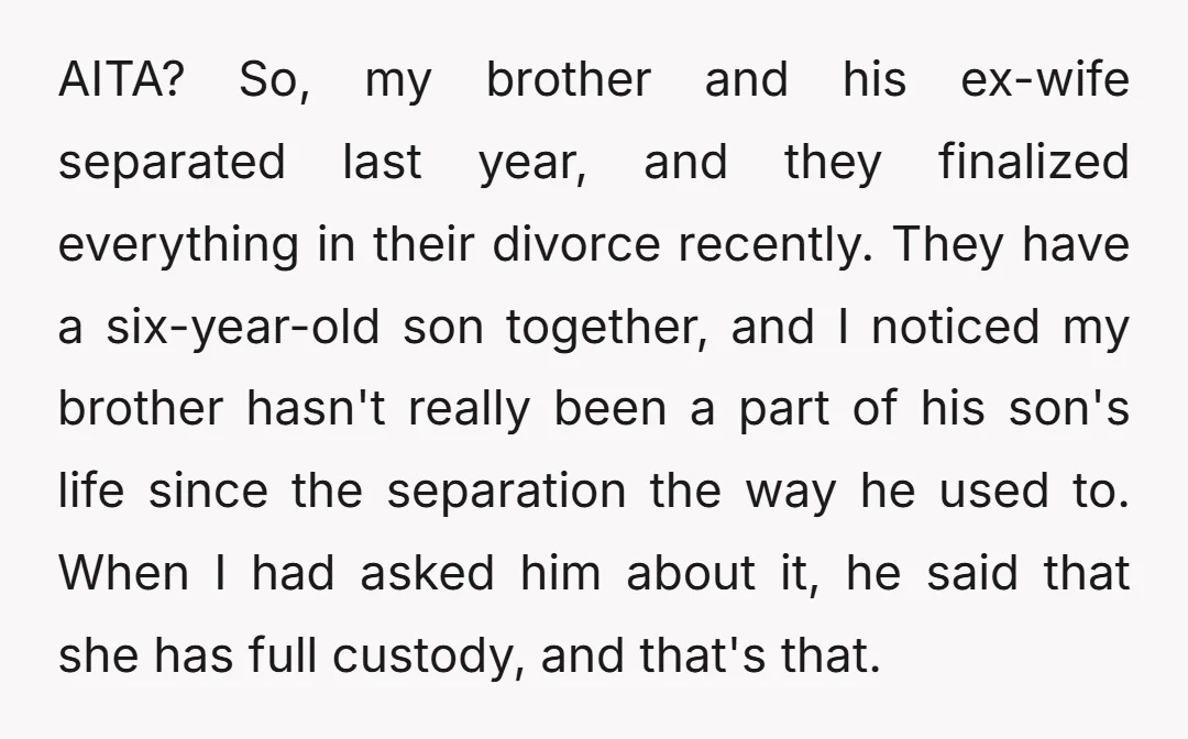 AITA? So, my brother and his ex-wife separated last year, and they finalized everything in their divorce recently. They have a six-year-old son together, and I noticed my brother hasn't...