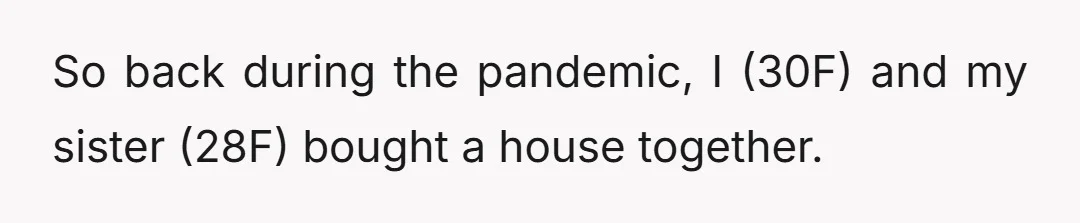 So back during the pandemic, I (30F) and my sister (28F) bought a house together.
