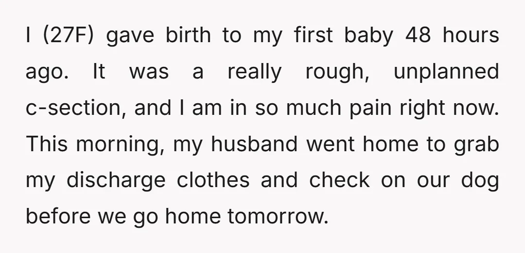 I (27F) gave birth to my first baby 48 hours ago. It was a really rough, unplanned c-section, and I am in so much pain right now. This morning, my...