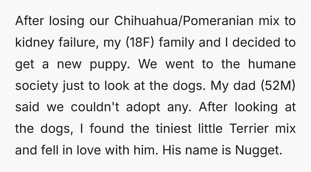 After losing our Chihuahua/Pomeranian mix to kidney failure, my (18F) family and I decided to get a new puppy. We went to the humane society just to look at the...