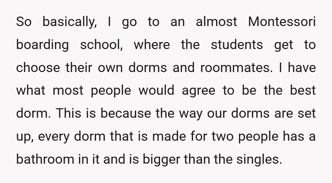 So basically, I go to an almost Montessori boarding school, where the students get to choose their own dorms and roommates. I have what most people would agree to be...