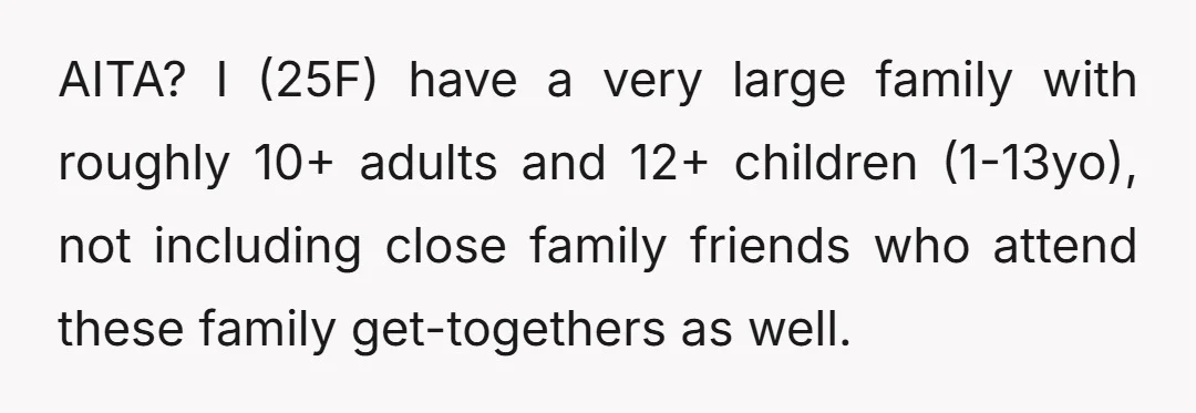 AITA? I (25F) have a very large family with roughly 10+ adults and 12+ children (1-13yo), not including close family friends who attend these family get-togethers as well.