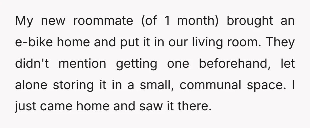 My new roommate (of 1 month) brought an e-bike home and put it in our living room. They didn't mention getting one beforehand, let alone storing it in a small,...
