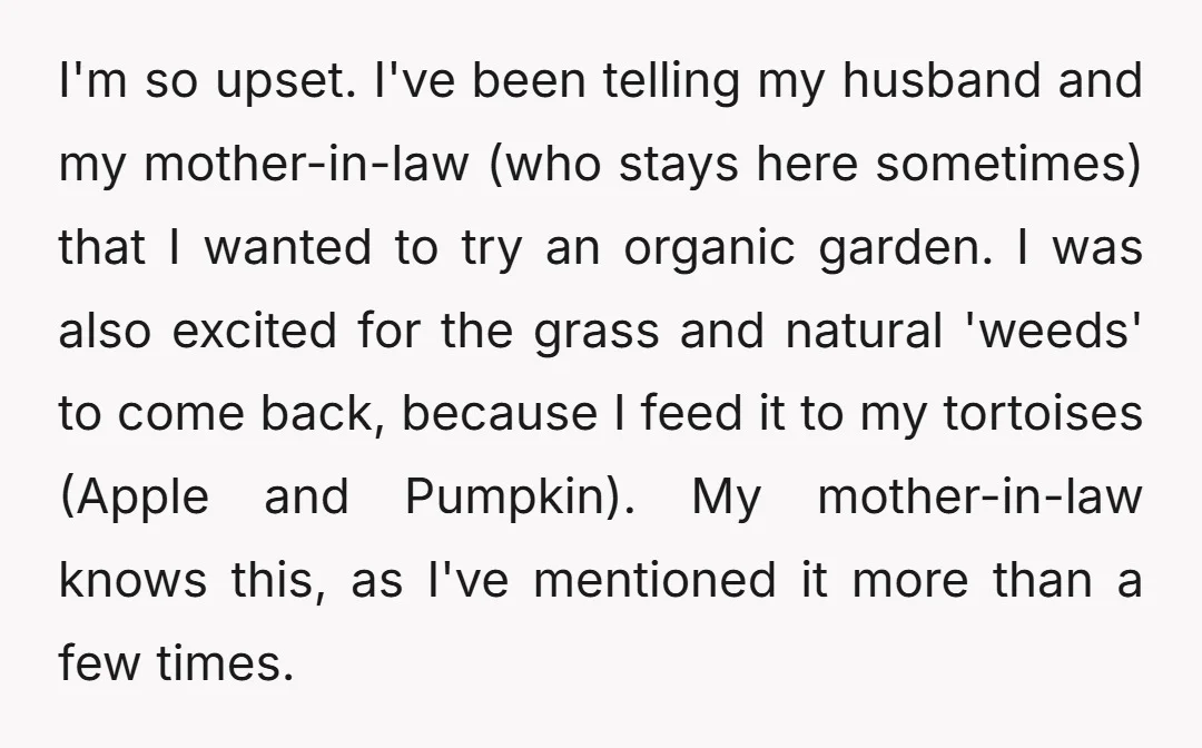 I'm so upset. I've been telling my husband and my mother-in-law (who stays here sometimes) that I wanted to try an organic garden. I was also excited for the grass...
