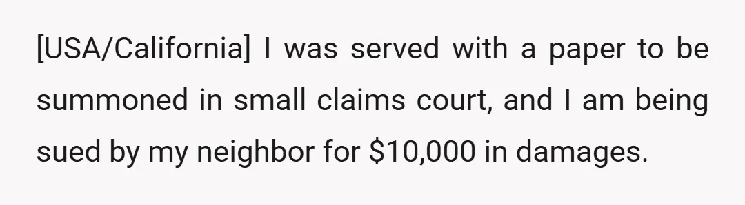 [USA/California] I was served with a paper to be summoned in small claims court, and I am being sued by my neighbor for $10,000 in damages.
