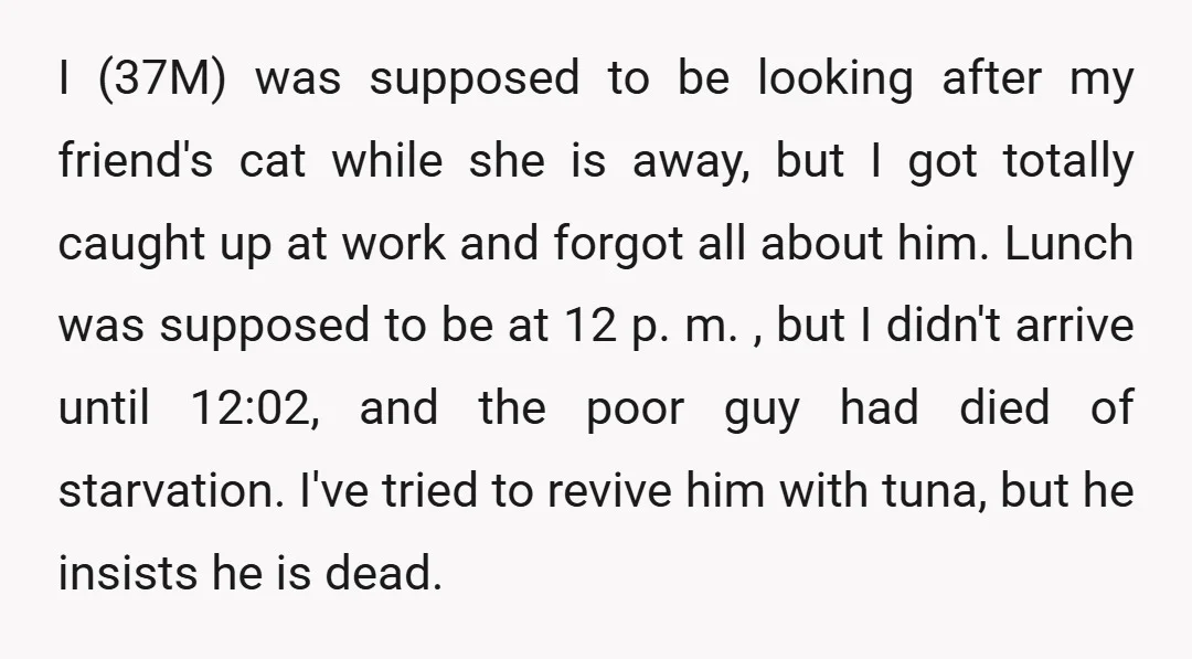 I (37M) was supposed to be looking after my friend's cat while she is away, but I got totally caught up at work and forgot all about him. Lunch was...