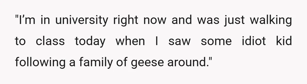 "I&rsquo;m in university right now and was just walking to class today when I saw some idiot kid following a family of geese around."
