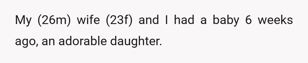 My (26m) wife (23f) and I had a baby 6 weeks ago, an adorable daughter.