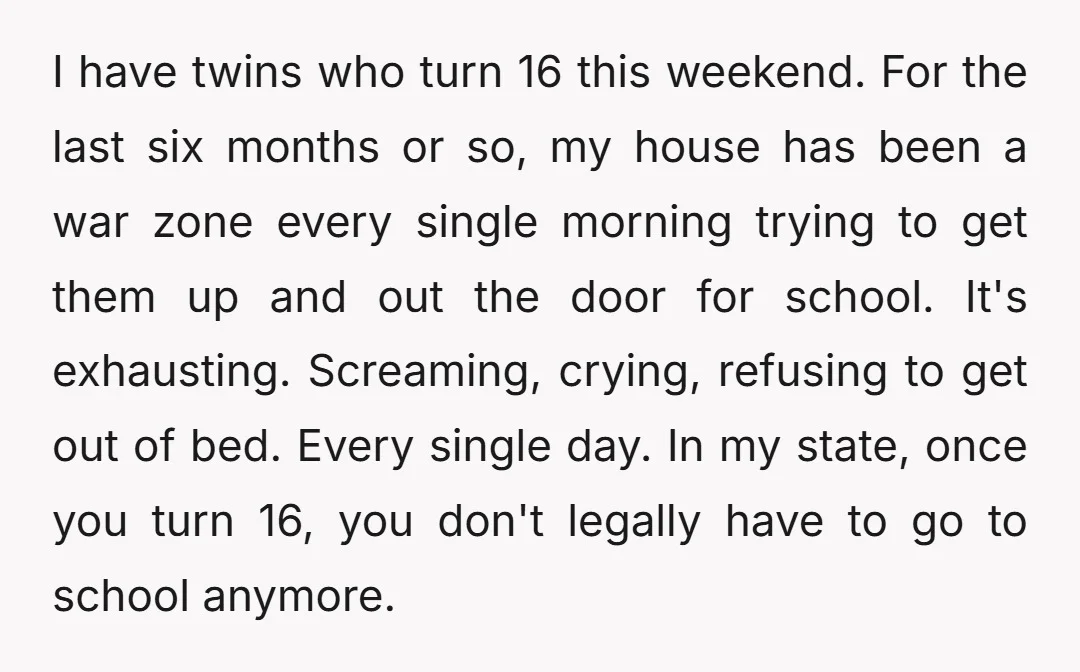 I have twins who turn 16 this weekend. For the last six months or so, my house has been a war zone every single morning trying to get them up...