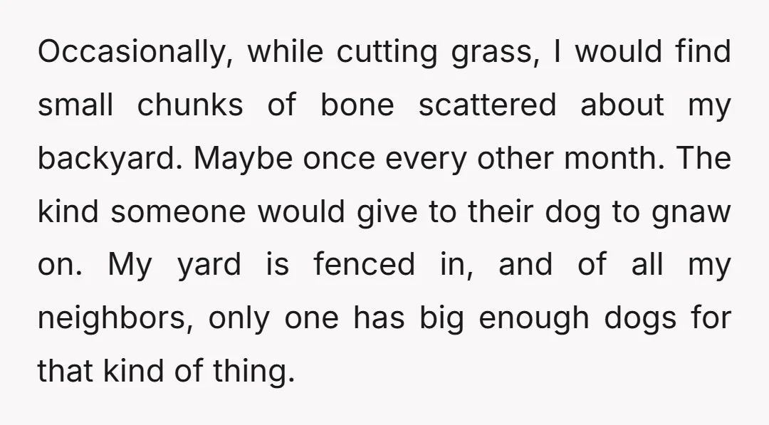 Occasionally, while cutting grass, I would find small chunks of bone scattered about my backyard. Maybe once every other month. The kind someone would give to their dog to gnaw...
