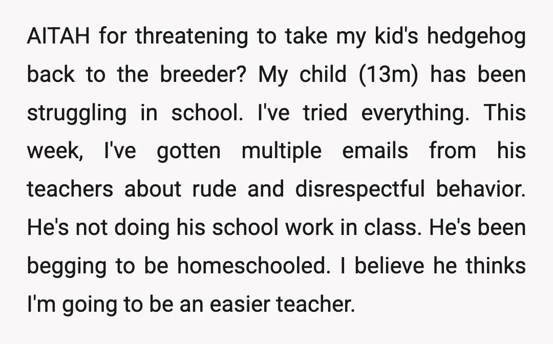 AITAH for threatening to take my kid's hedgehog back to the breeder? My child (13m) has been struggling in school. I've tried everything. This week, I've gotten multiple emails from...
