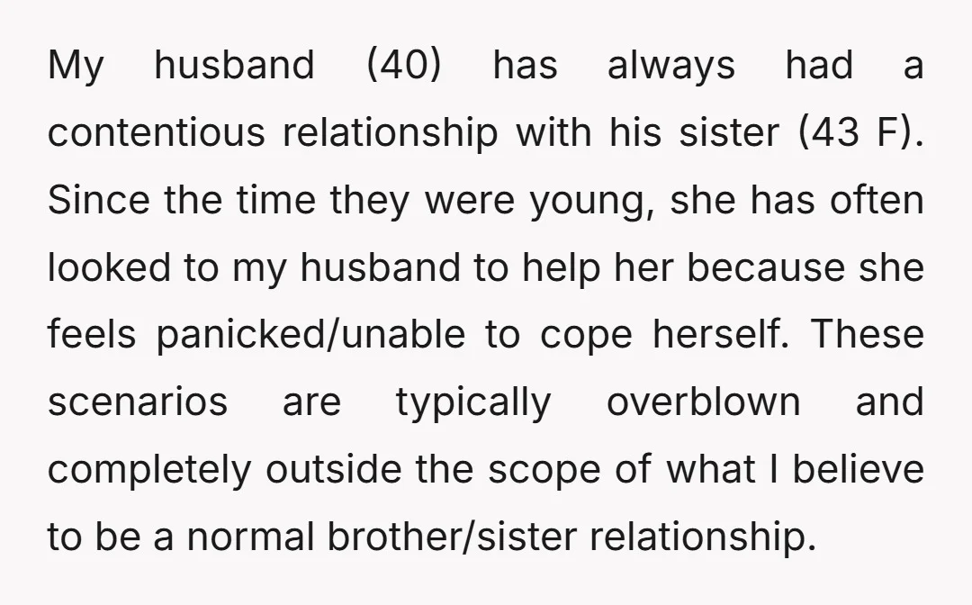 My husband (40) has always had a contentious relationship with his sister (43 F). Since the time they were young, she has often looked to my husband to help her...