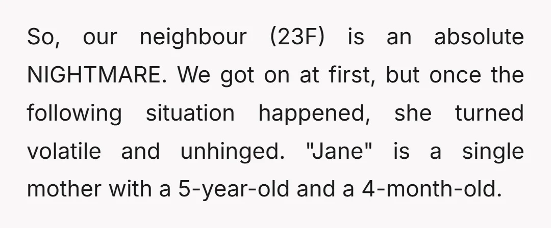 So, our neighbour (23F) is an absolute NIGHTMARE. We got on at first, but once the following situation happened, she turned volatile and unhinged. "Jane" is a single mother with...