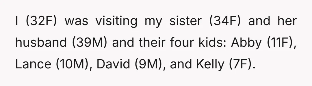 I (32F) was visiting my sister (34F) and her husband (39M) and their four kids: Abby (11F), Lance (10M), David (9M), and Kelly (7F).