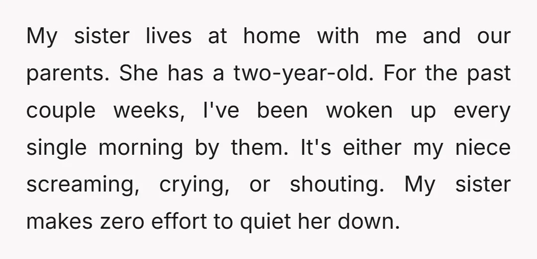 My sister lives at home with me and our parents. She has a two-year-old. For the past couple weeks, I've been woken up every single morning by them. It's either...