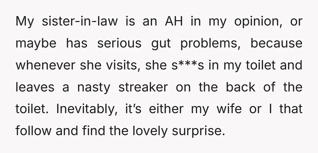 My sister-in-law is an AH in my opinion, or maybe has serious gut problems, because whenever she visits, she s***s in my toilet and leaves a nasty streaker on the...