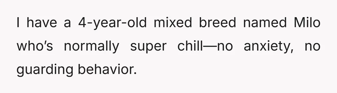 I have a 4-year-old mixed breed named Milo who’s normally super chill—no anxiety, no guarding behavior.