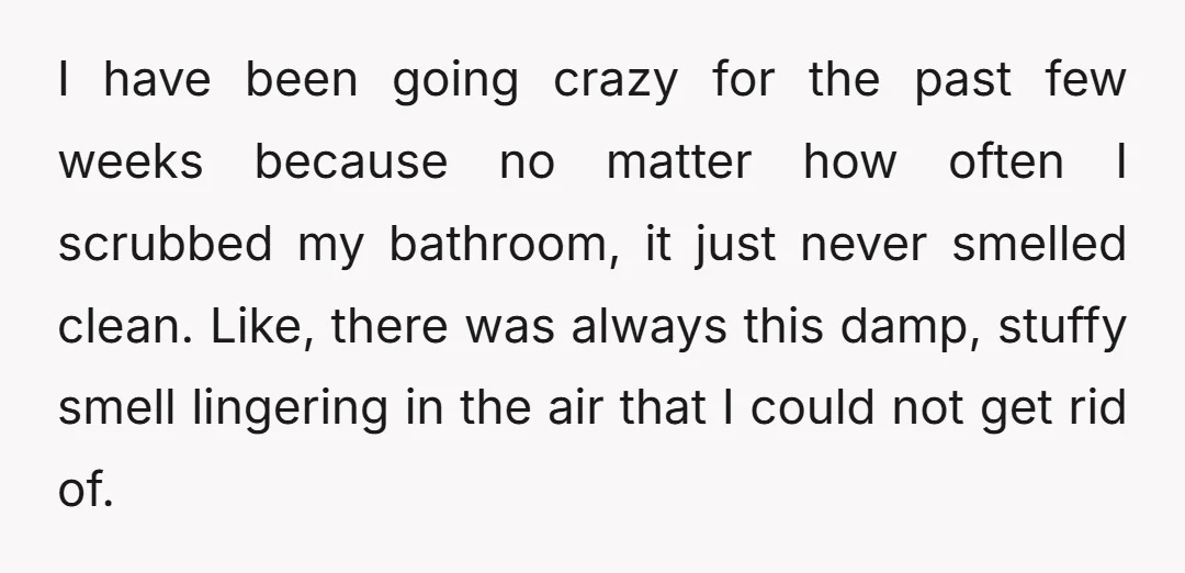 I have been going crazy for the past few weeks because no matter how often I scrubbed my bathroom, it just never smelled clean. Like, there was always this damp,...