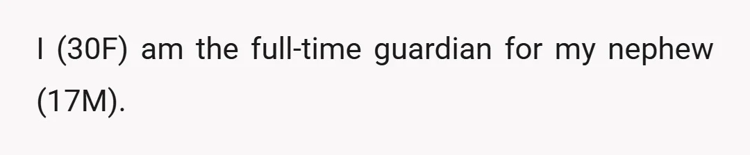 I (30F) am the full-time guardian for my nephew (17M).