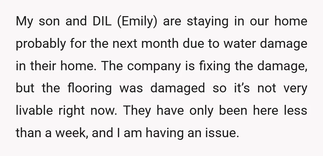 My son and DIL (Emily) are staying in our home probably for the next month due to water damage in their home. The company is fixing the damage, but the...